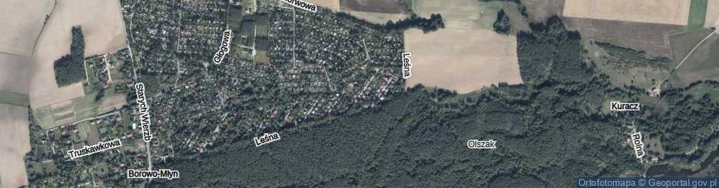 Zdjęcie satelitarne Wierzbowa ul.